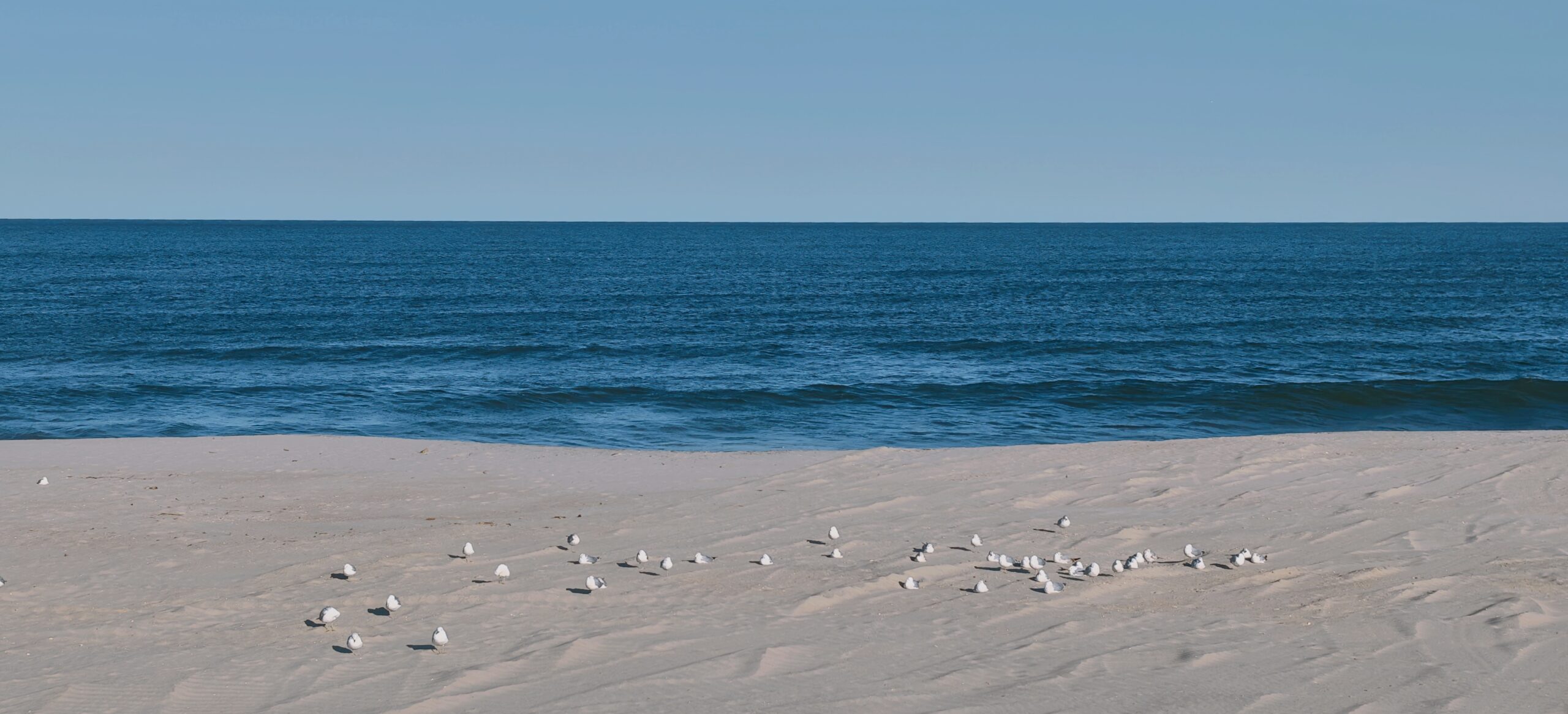 Atlantic Ocean Scaled